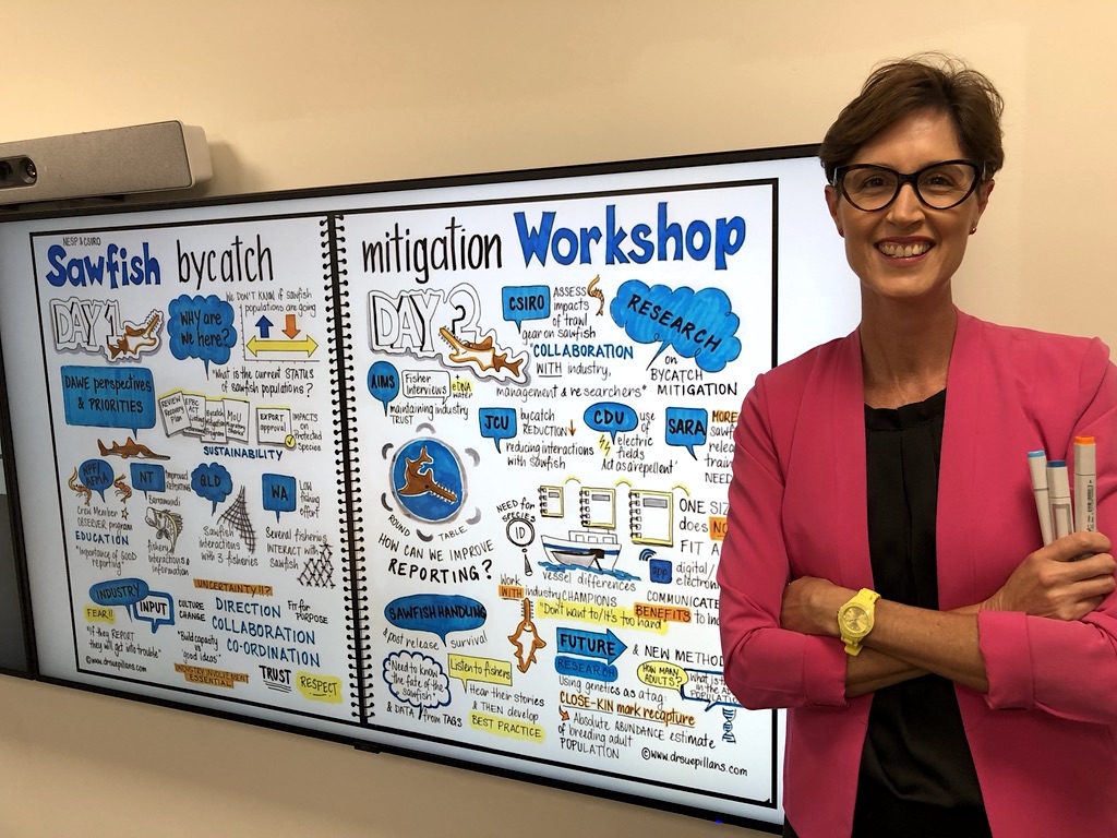 Sawfish bycatch mitigation workshop_DrSuePillans