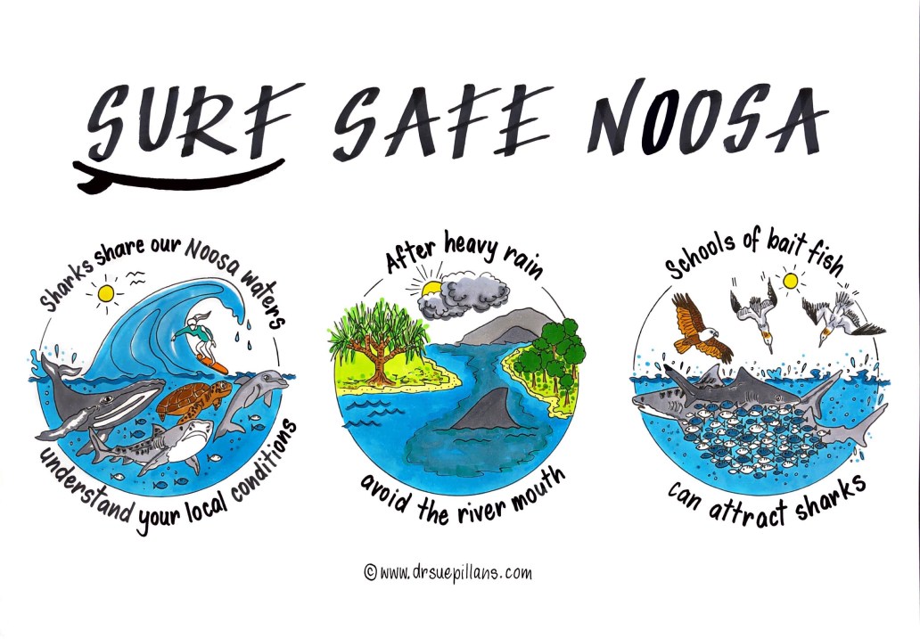 Surf Safe Noosa artwork_DrSuePillans2023