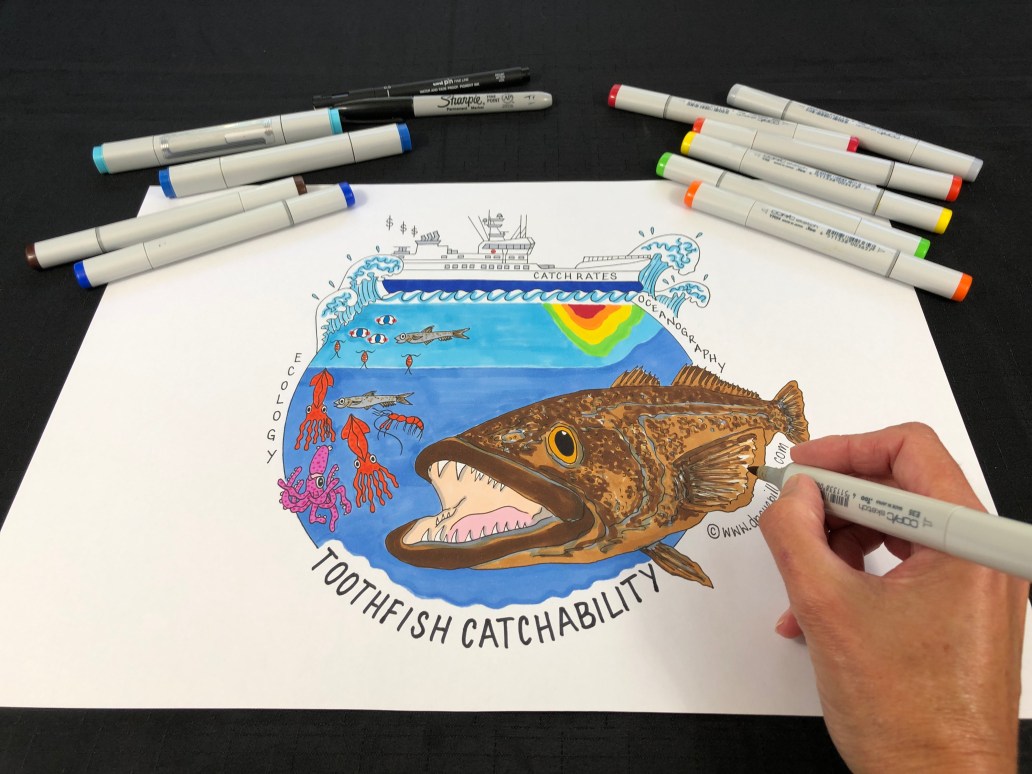 Patagonian toothfish fishery_Infographic_DrSuePillans